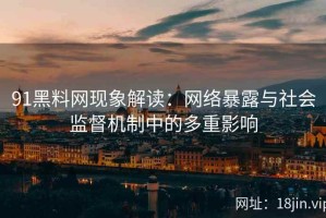 91黑料网现象解读：网络暴露与社会监督机制中的多重影响