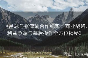 《吕总与张津瑜合作纪实：商业战略、利益争端与幕后操作全方位揭秘》
