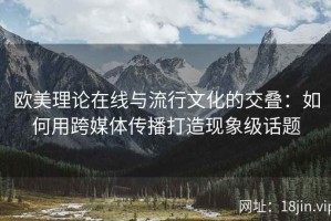 欧美理论在线与流行文化的交叠：如何用跨媒体传播打造现象级话题