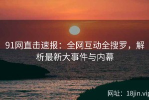91网直击速报：全网互动全搜罗，解析最新大事件与内幕