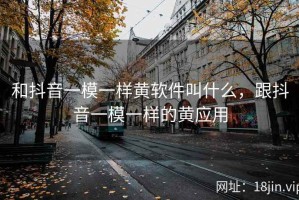 和抖音一模一样黄软件叫什么，跟抖音一模一样的黄应用