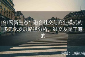 91网新生态：融合社交与商业模式的多元化发展路径分析，91交友是干嘛的