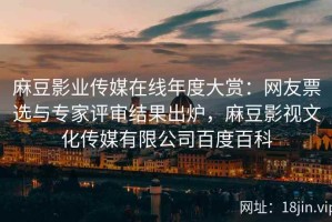 麻豆影业传媒在线年度大赏：网友票选与专家评审结果出炉，麻豆影视文化传媒有限公司百度百科