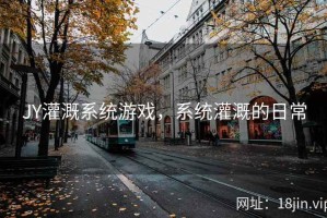 JY灌溉系统游戏，系统灌溉的日常