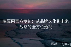 麻豆网官方专访：从品牌文化到未来战略的全方位透视