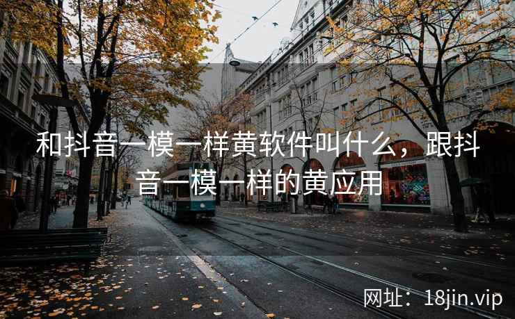 和抖音一模一样黄软件叫什么，跟抖音一模一样的黄应用