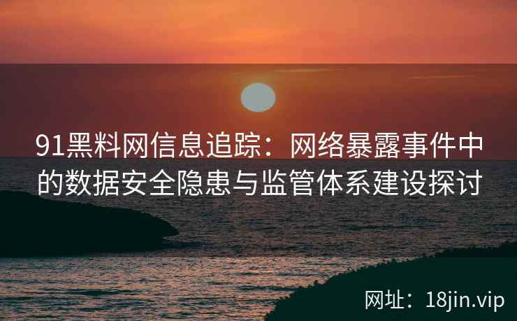 91黑料网信息追踪：网络暴露事件中的数据安全隐患与监管体系建设探讨