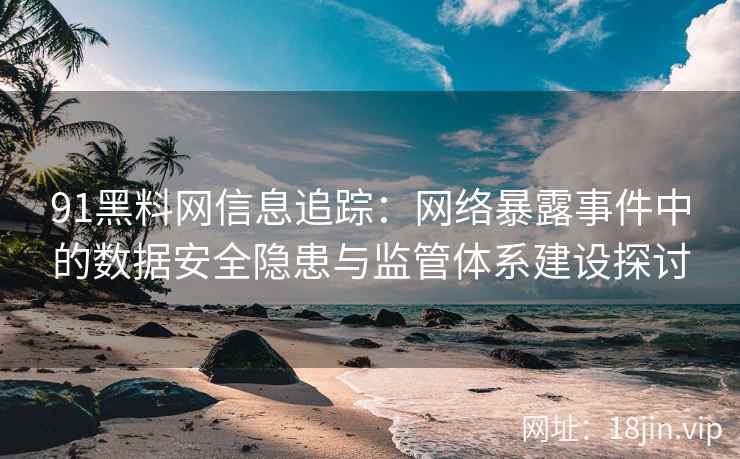 91黑料网信息追踪：网络暴露事件中的数据安全隐患与监管体系建设探讨