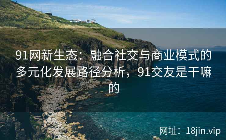 91网新生态：融合社交与商业模式的多元化发展路径分析，91交友是干嘛的