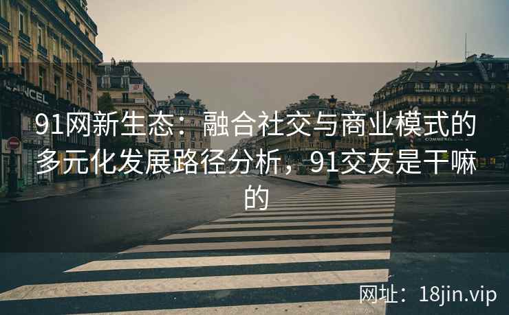 91网新生态：融合社交与商业模式的多元化发展路径分析，91交友是干嘛的