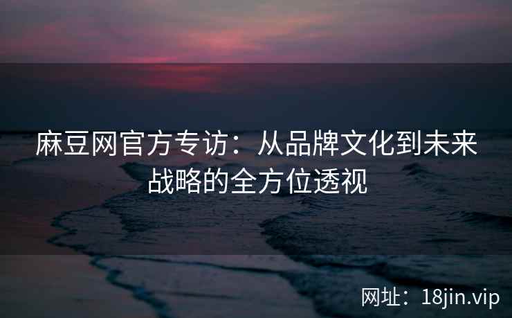 麻豆网官方专访：从品牌文化到未来战略的全方位透视