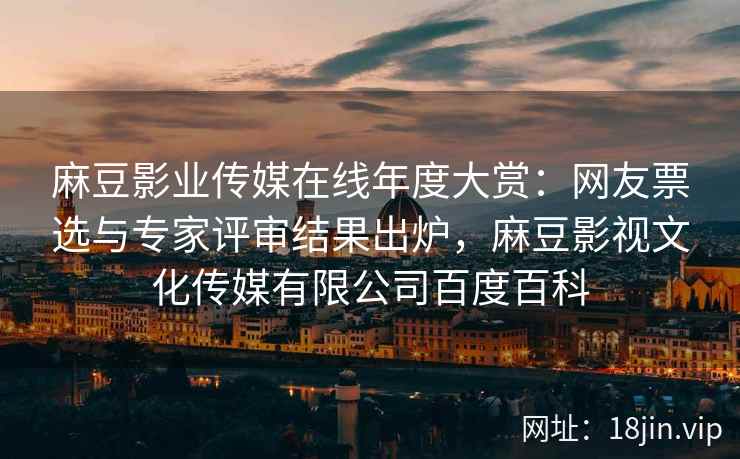 麻豆影业传媒在线年度大赏：网友票选与专家评审结果出炉，麻豆影视文化传媒有限公司百度百科